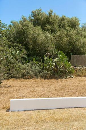 Ca Na Maria Teueta Appartement Sant Ferran de Ses Roques Buitenkant foto