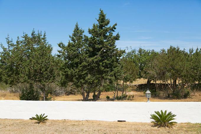 Ca Na Maria Teueta Appartement Sant Ferran de Ses Roques Buitenkant foto